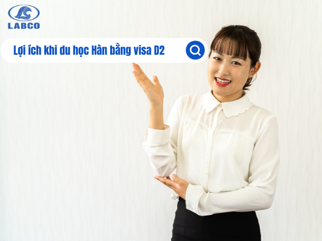 Quyền lợi khi du học Hàn Quốc visa chuyên ngành D2