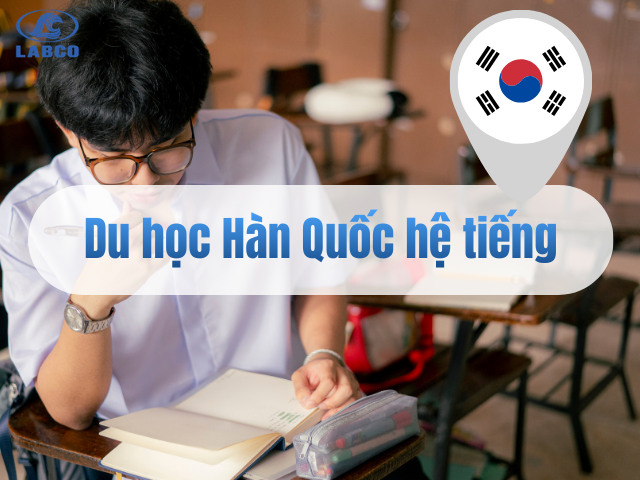 Du học H&agrave;n Quốc hệ tiếng: Điều kiện, chi ph&iacute;, lộ tr&igrave;nh 2026