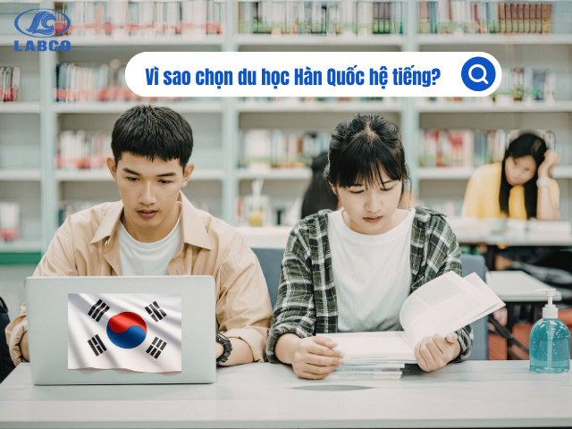 Lợi thế khi chọn du học Hàn visa D4-1