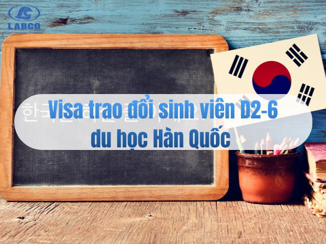 Visa trao đổi sinh vi&ecirc;n D2-6 tỷ lệ đậu cao