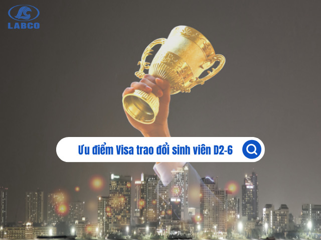 Lợi ích khi đi du học Hàn Quốc diện visa D2-6