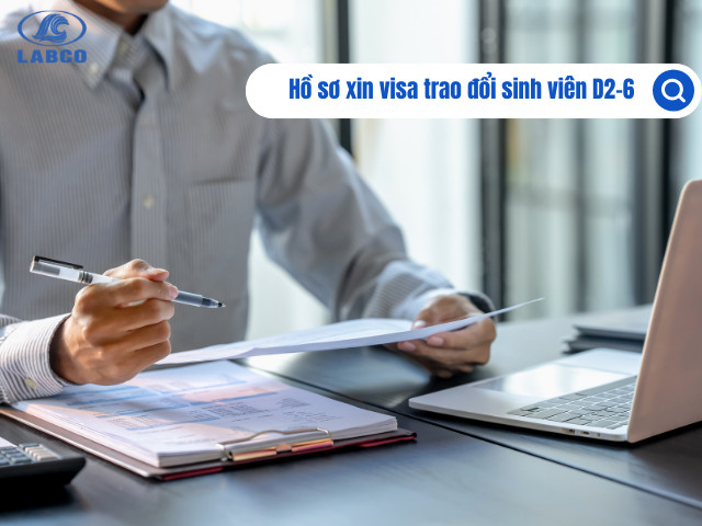 Hồ sơ visa D2-6