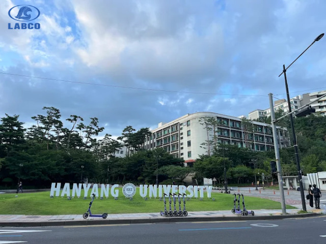 Review Đại học Hanyang