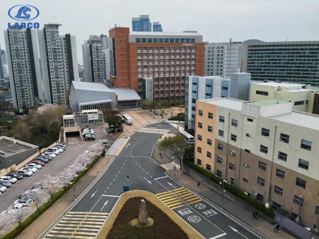 Review Đại học Kyungsung 