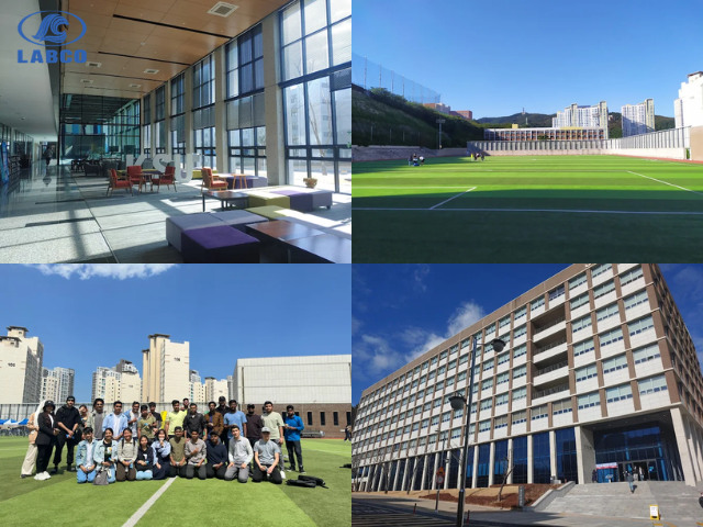 Môi trường học tập năng động, phù hợp sinh viên quốc tế