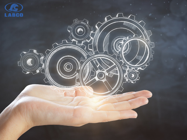 Top ngành du học Hàn Quốc dễ xin việc nhất hiện nay