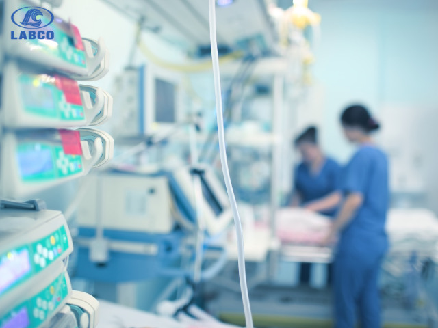 Top ngành du học Hàn Quốc dễ xin việc nhất hiện nay